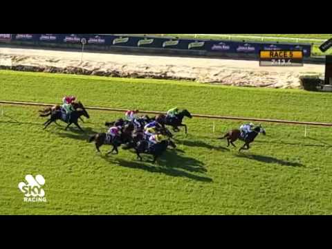 Belmont Park, 1/06/2016 - Race 5 - STRIKING STAR - Neville Parker