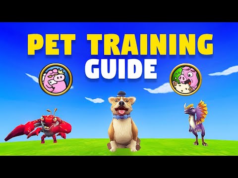 Wizard101: ULTIMATE Pet Training Guide in 2025! (PC) 