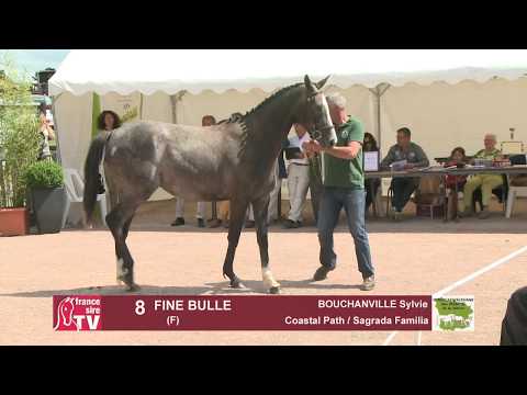 Concours Cercy 2017 - Lot 8 - Fine Bulle