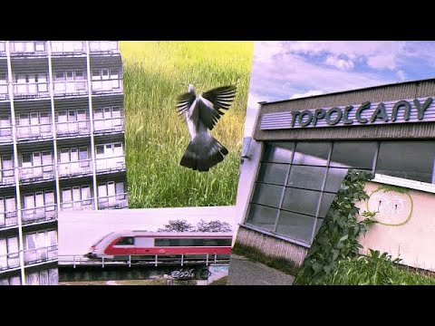 Ryhha - Schíza stredného veku (Sickcity video)