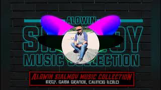 Download lagu TARZAN AND JANE: ALDWIN SIALMOY MUSIC COLLECTION ( DJ BORNS) mp3