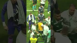 Palmeiras 2 x 1 Botafogo, pelo Brasileirão, tem confusão e empurra-empurra após apito final