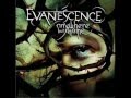 Evanescence - Haunted - Anywhere but home ...