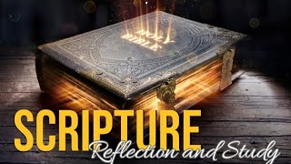 PFL-Daily Scripture Reflection -The Beatitudes Are Contrary to the Democrats’ Policies - Nov. 1, 2024