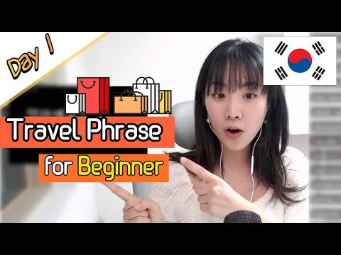 Learn Top 20 Must-Know Korean Travel Phrases | Shopping