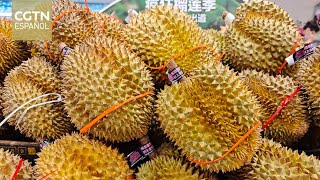 El aumento de la disponibilidad de durián en China ha generado una disminución de los precios