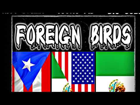 Foreign Birds - YoungMB x Big Julo x Riko Blizzy