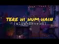 Tere hi hum hain || prateek kuhad lyrics video (Slowed+Reverbed