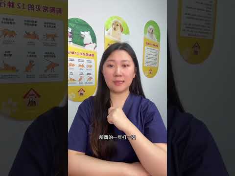 The Ultimate Guide to Safely Strike a Dog