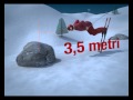 ANIM ACC SKI SCHUMACHER