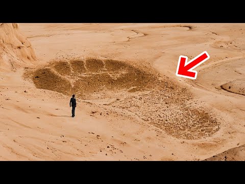 Naukowe odkrycia, w które trudno uwierzyć – ale są prawdziwe!