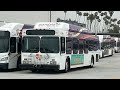 Glendale Beeline B59