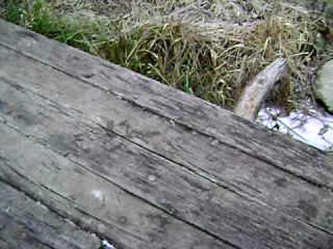 Swimming in icy water - Part I.