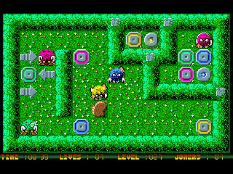 Brainies, The picture