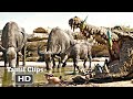 The Jungle Book 2016 Whole Animal Assemble Water Drinking Scene Tamil 3 15 Movieclips Tamil