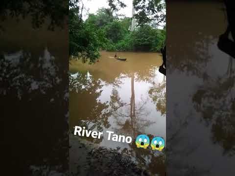 Polluted river Tano