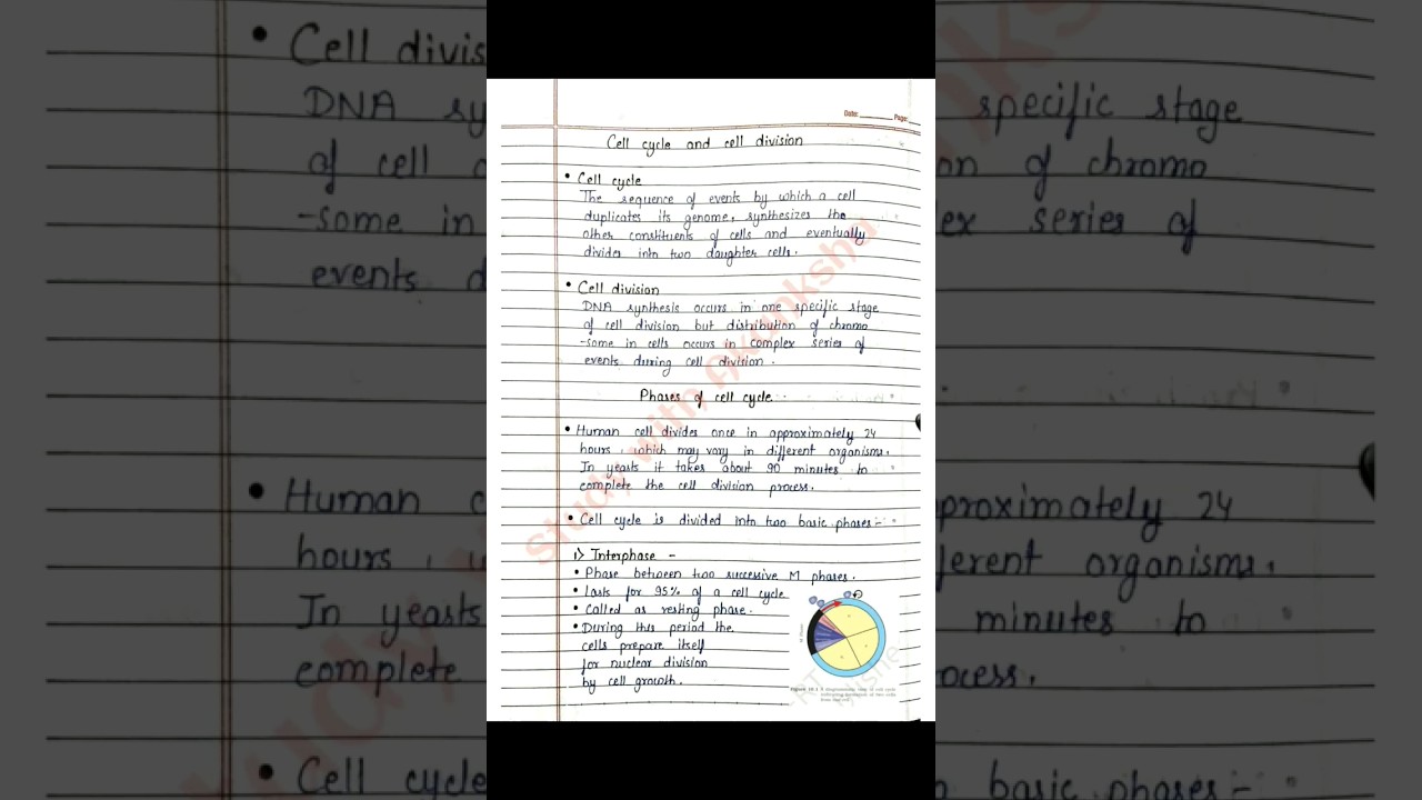 Class 11 Biology | Cell cycle and cell division handwritten notes | NCERT | CBSE | NEET | BSEB | JEE