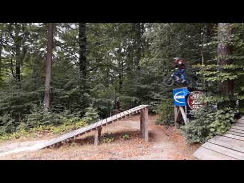 NOIZBOYZ Summer 2018