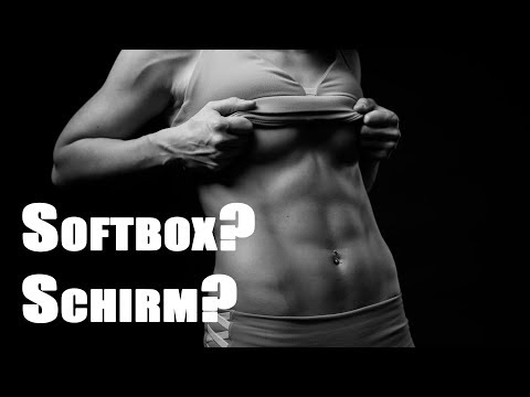 Softbox oder Durchlichtschirm beim Fotografieren mit Blitz