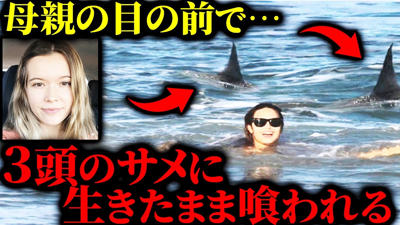 【最悪の捕食】インスタ映えの聖地が“地獄の食卓”に…3頭のサメに包囲され、10分間なぶり殺しにされた21歳。現場に響く骨の砕ける音