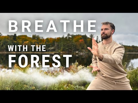 Fall Qigong for the Lungs & Immune System | Gentle Healing Routine for Autumn Energy