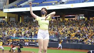 [閒聊] 新嗆司曲-黃潮再起！