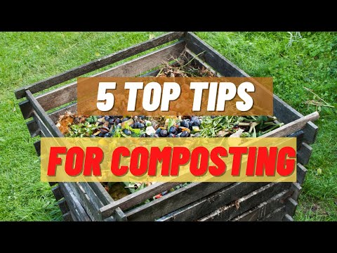 Top 5 Tips for Composting in The Lawn Care Business #youtubeshorts