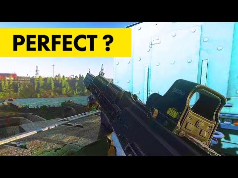 THIS CUSTOMS RAID WAS SO GOOD!