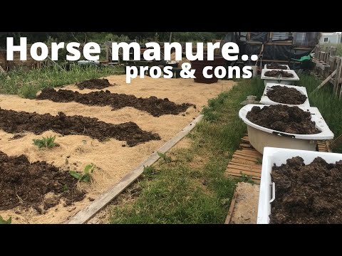 YouTube video about: Where can I buy horse manure?