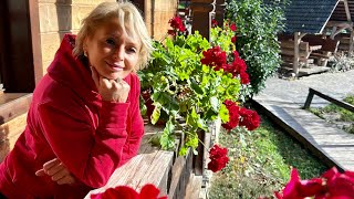 Download lagu I WILL SHOW YOU THE COOLEST LOCATION IN ROMANIA (ALEX TRASTRAVARIA) mp3 Download lagu I WILL SHOW YOU THE COOLEST LOCATION IN ROMANIA (ALEX TRASTRAVARIA) mp3