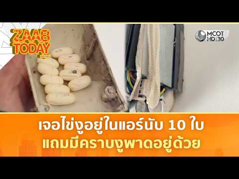 คลิกเพื่อดูคลิปวิดีโอ