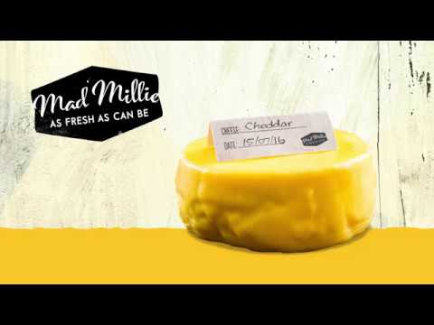 download lagu mp3 mp4 How To Make Hard Cheese Uk, download lagu How To Make Hard Cheese Uk gratis, unduh video klip How To Make Hard Cheese Uk