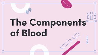 PE: The Components of Blood
