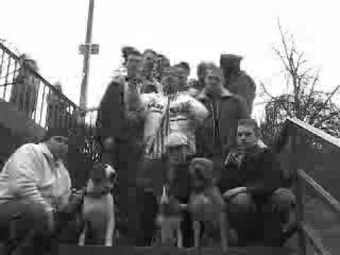 rapkilla feat. STN.mp4