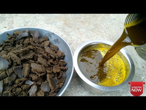 download lagu mp3 mp4 Chakra Mustard Oil, download lagu Chakra Mustard Oil gratis, unduh video klip Chakra Mustard Oil