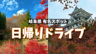 【岐阜】紅葉狩り🍁ぼっちドライブ！日帰りで絶景スポットを巡ってみた！