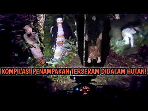 KOMPILASI PENAMPAKAN TERSERAM SAAT MELEWATI HUTAN RIMBA DITENGAH MALAM!