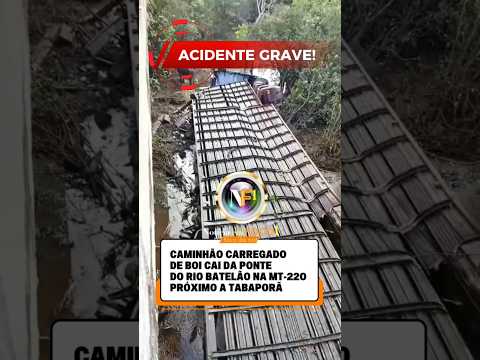 Acidente grave!CAMINHÃO CARREGADO DE BOI CAI DA PONTE DO RIO BATELÃO NA MT-220 PRÓXIMO A TABAPORÃ