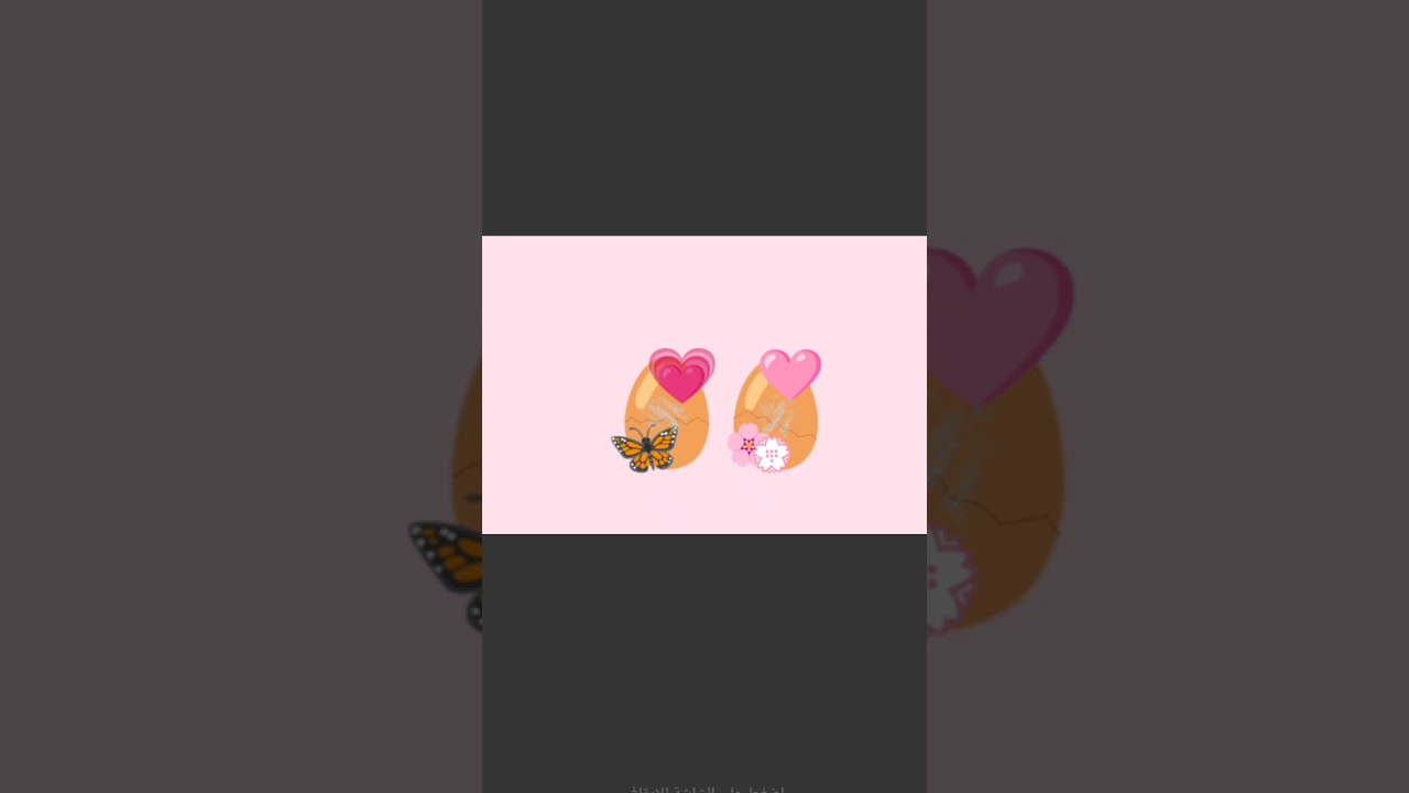 Cute baby cat!🩷💓🌸🦋