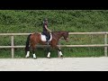 Jument par Vitalis x Apache