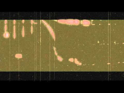 Evil Never Sleeps (Dark Knight Rises) Above Only-Short