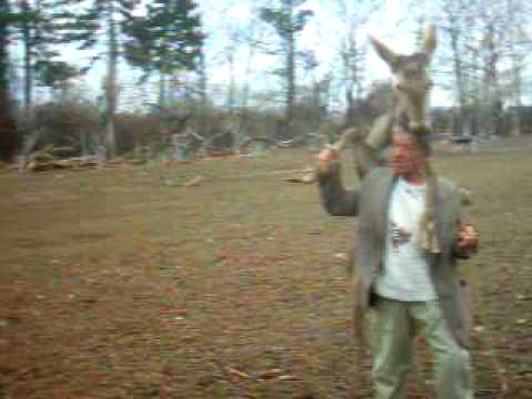 A vadak ura 2 (az öreg nem hagyja magát)