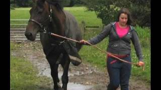 What a friend you are