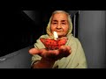 Umeed Ka Diya A Story Of Hope Diwali 2020