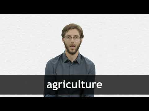 E-Book - Inglês e Agricultura - Grátis