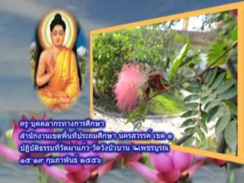 ว่าผู้หญิงที่พบเมื่อกระตุ้น ไข่เล็ก ๆ จากสมาชิก