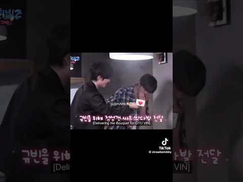 Of course 𝓡𝓲𝓬𝓴𝔂 chose 𝙶𝚢𝚞𝚟𝚒𝚗 😂❤️ #shimkongz #zb1 #zerobaseone