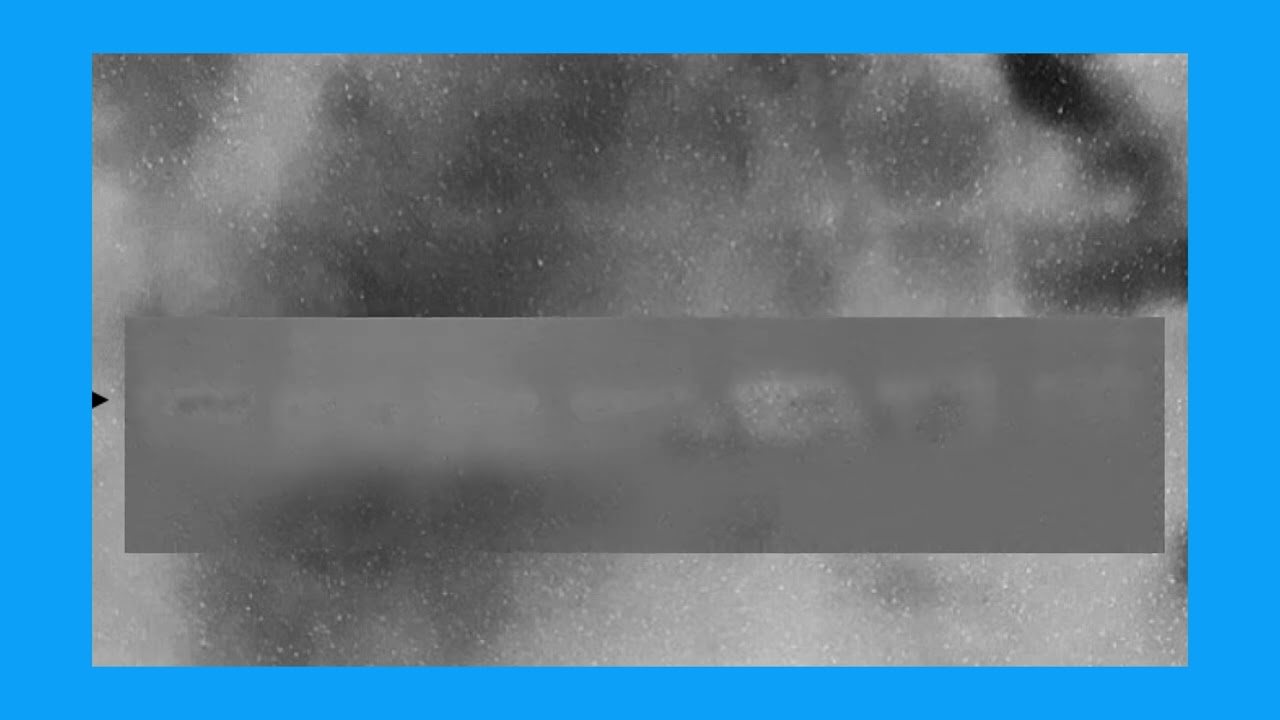 71FBDF6A9B971347A4A11CEA9F6736#16