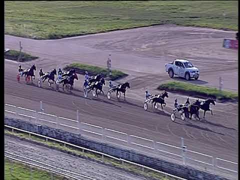 Trotto 08/06/2019 - 8ª corsa