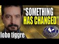 "Something Has Changed" In Gold Market | Lobo Tiggre